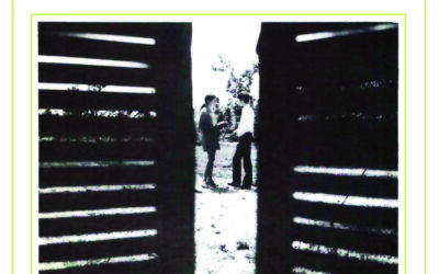 N.3, 1986