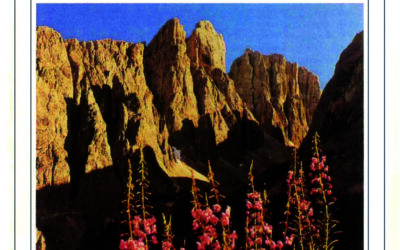 N.4, 1995