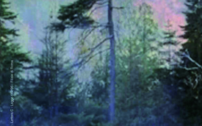 N.6, 2002