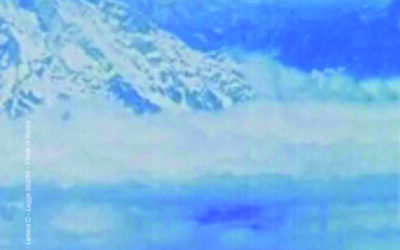 N.6, 2004