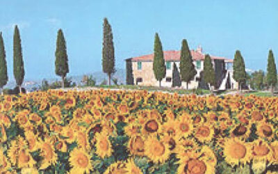 N.2, 2005
