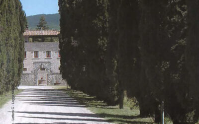 N.4, 2005