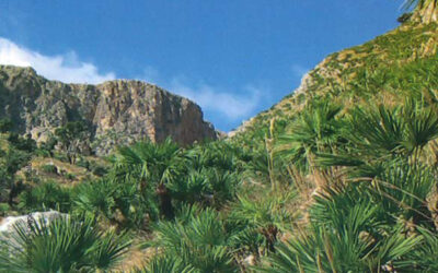 N.2, 2006