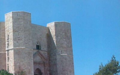 N.3, 2006