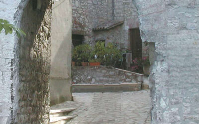N.5, 2006