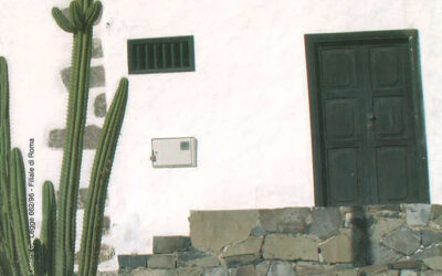 N.4, 2007