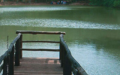 N.5, 2007