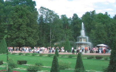 N.6, 2007