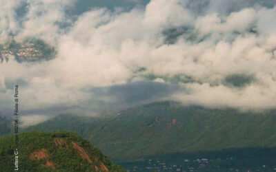 N.2, 2008