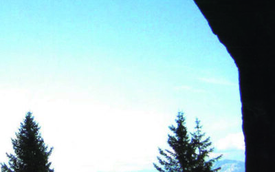 N.5, 2009