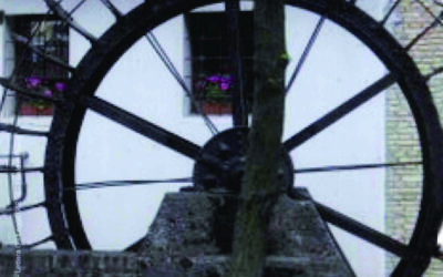 N.2, 2010