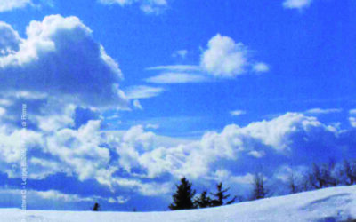 N.6, 2010