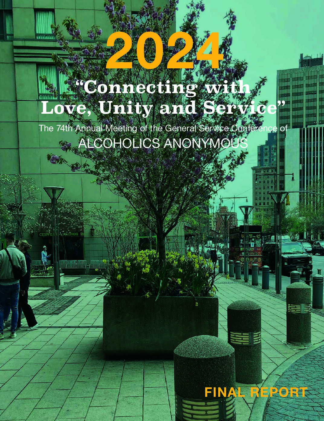2024 final conference report anonymity en online
