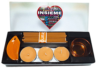 Gadget Insieme in AA – 2026