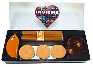 Gadget Insieme in AA – 2026