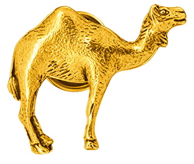 Spilla cammello colore oro